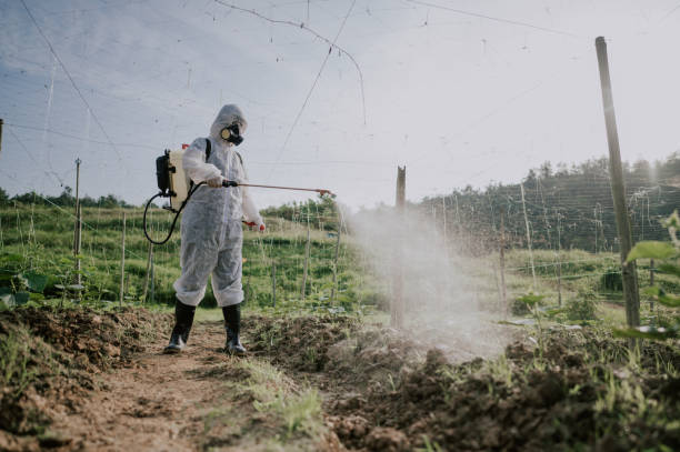 Pest Control Cost in Thousand Palms, CA