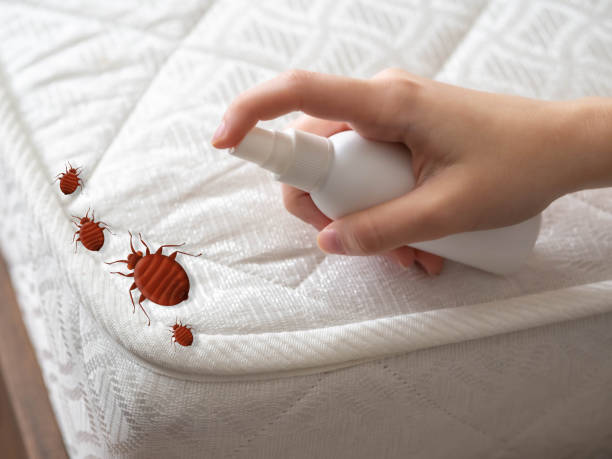 Wildlife Control Services in Thousand Palms, CA