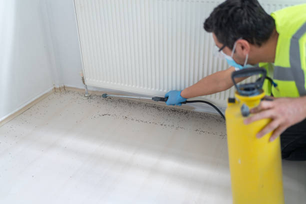Best Pest Removal Services  in Thousand Palms, CA